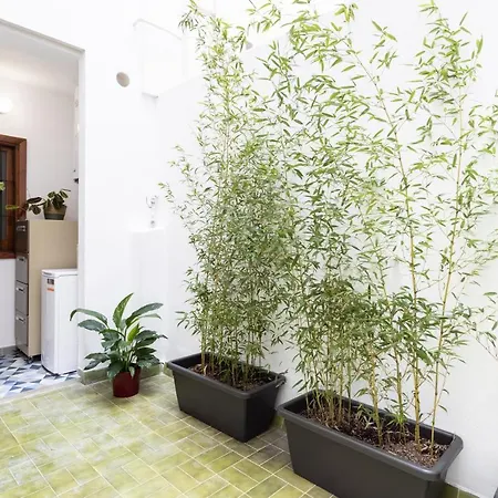 Home2book Charming Center Cruz Santa Cruz de Tenerife
