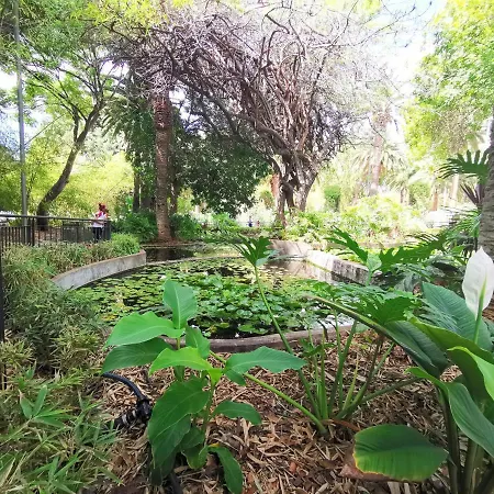 Apartment Home2book Charming Center Cruz
