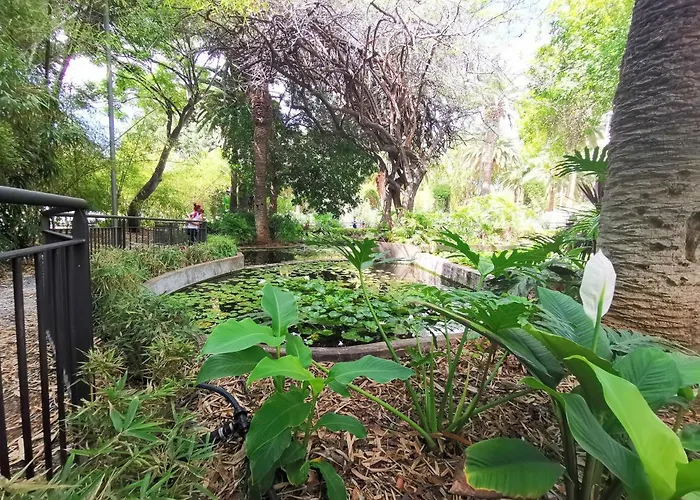 Apartman Home2book Charming Center Cruz
