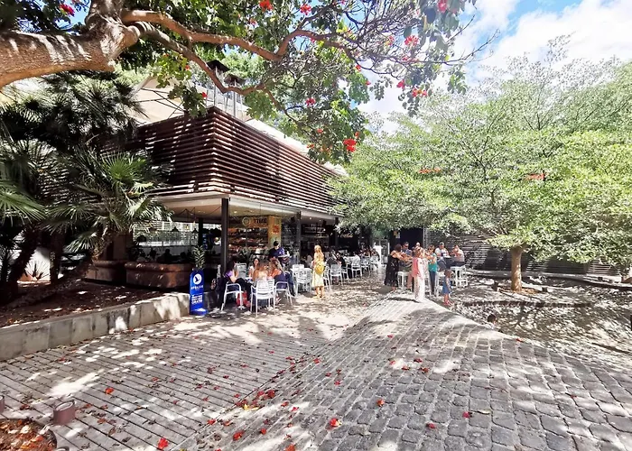 Home2book Charming Center Cruz Santa Cruz de Tenerife